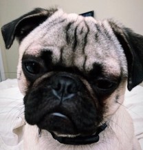 06FFE7C6-E409-4AA1-A9B3-4514FED46F64